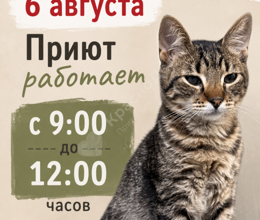 Изменение в режиме работы!